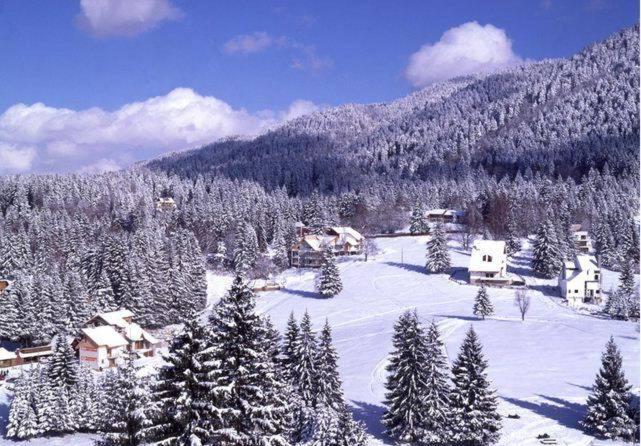 Poiana Brasov, Aparthotel 609,Alpin Екстер'єр фото